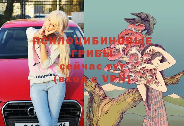 молекула духа Алзамай