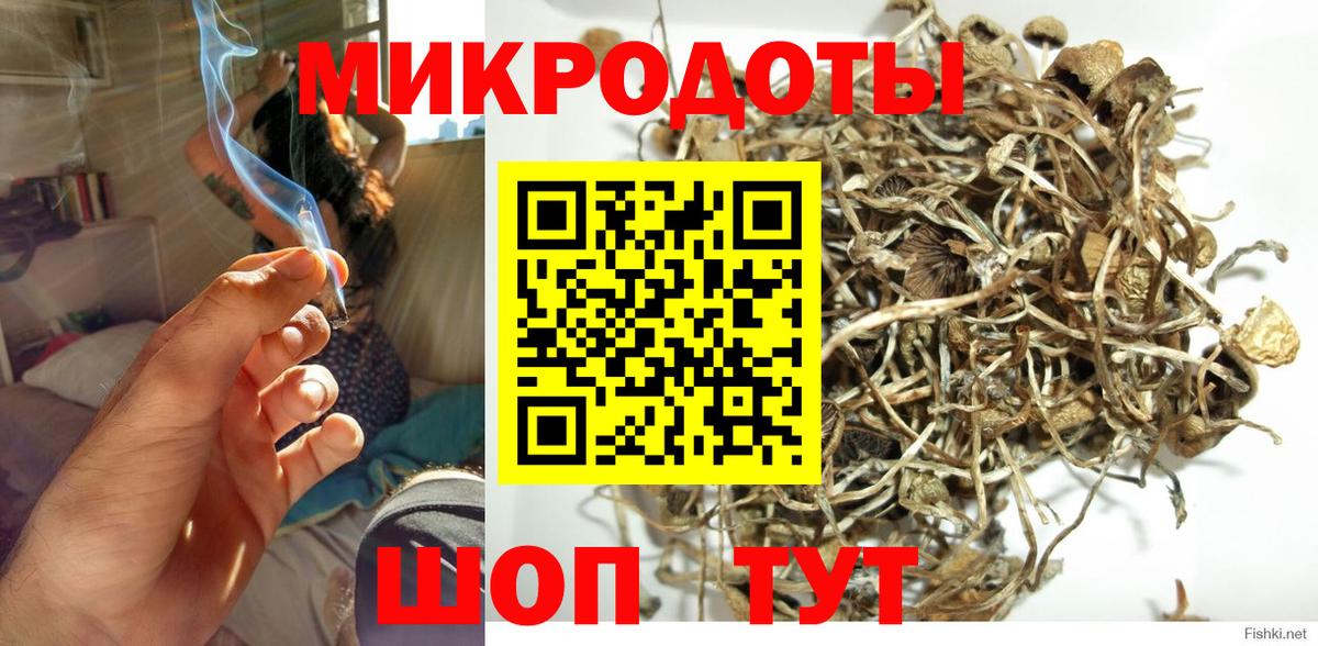 Псилоцибиновые грибы GOLDEN TEACHER Волжский